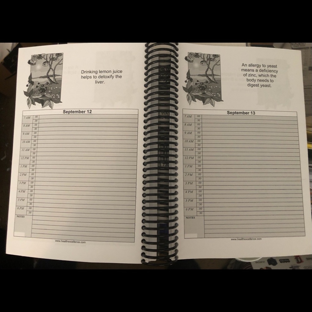 Calendar Book - Picture 4 of 6